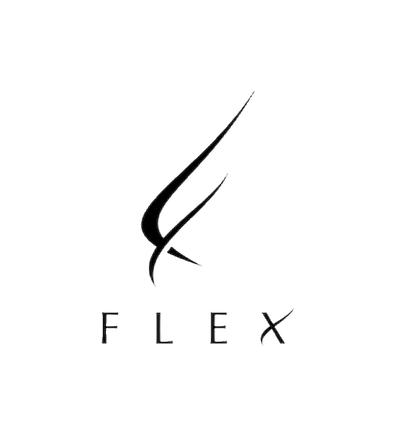 FLEX Logo